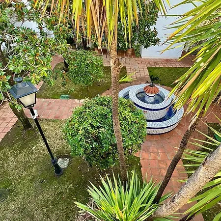 Naranjos Del Sol